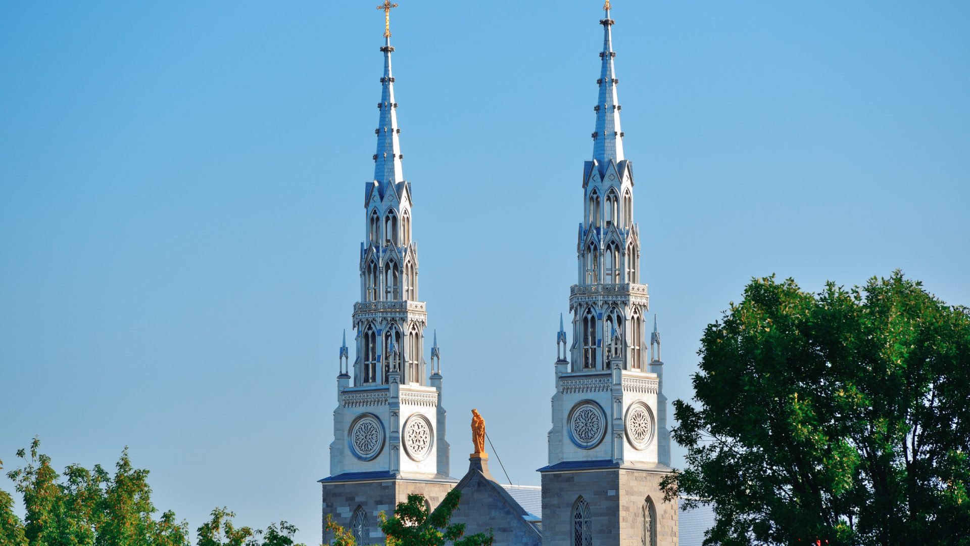 Notre Dame Basilica Ottawa Ontario Canada 1 Scaled Rivvntxega4omv9i88d6v8418yn2aoi45euu3bunn4